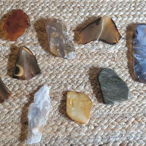 Jasper, Agate and some Petrified Wood Magnets. $7 each